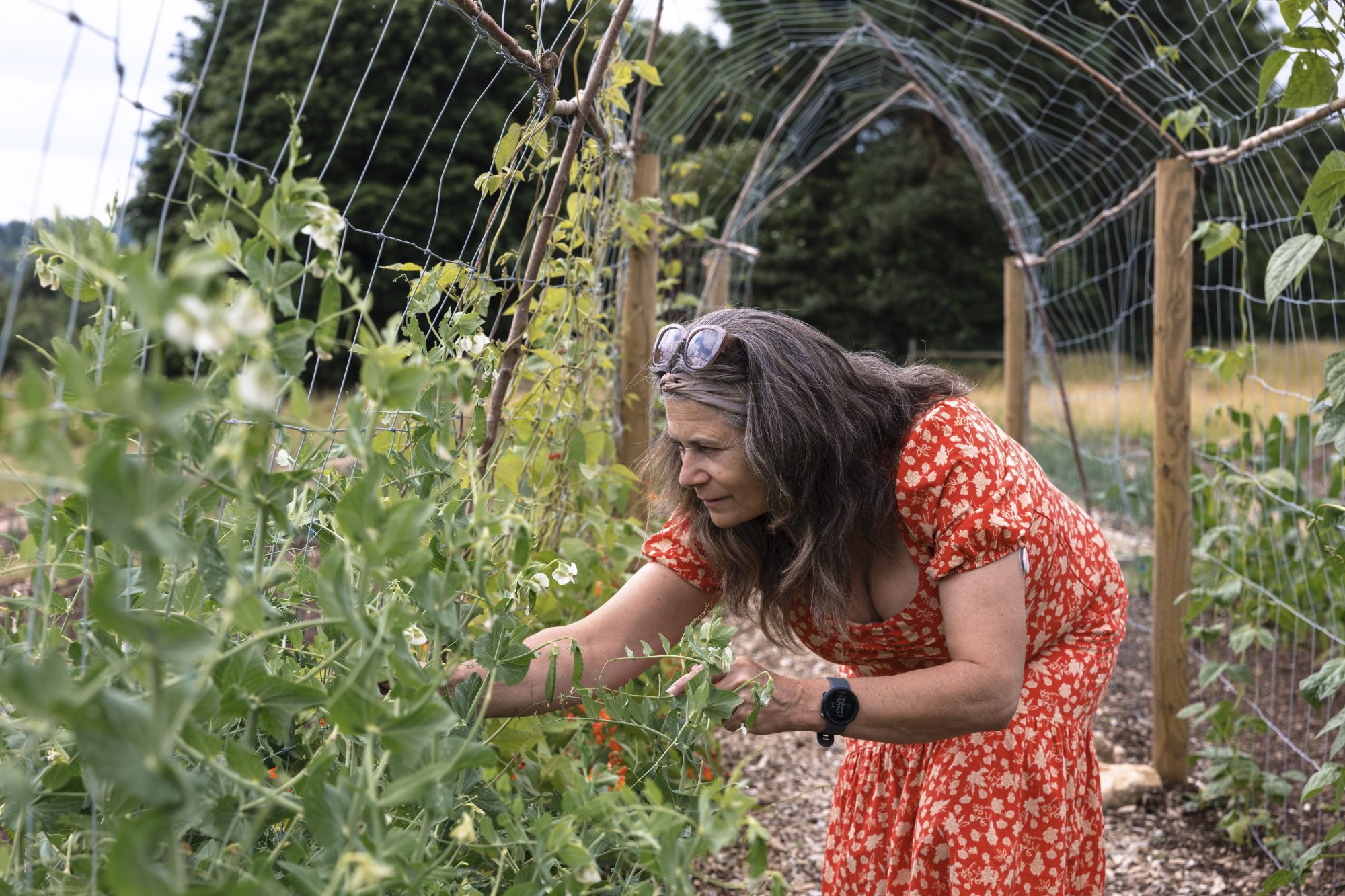 Hormone Health Retreat at Combe Grove - Image 2
